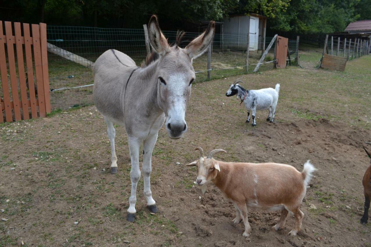 Le Paradis Des Animaux Coublevie Exteriör bild