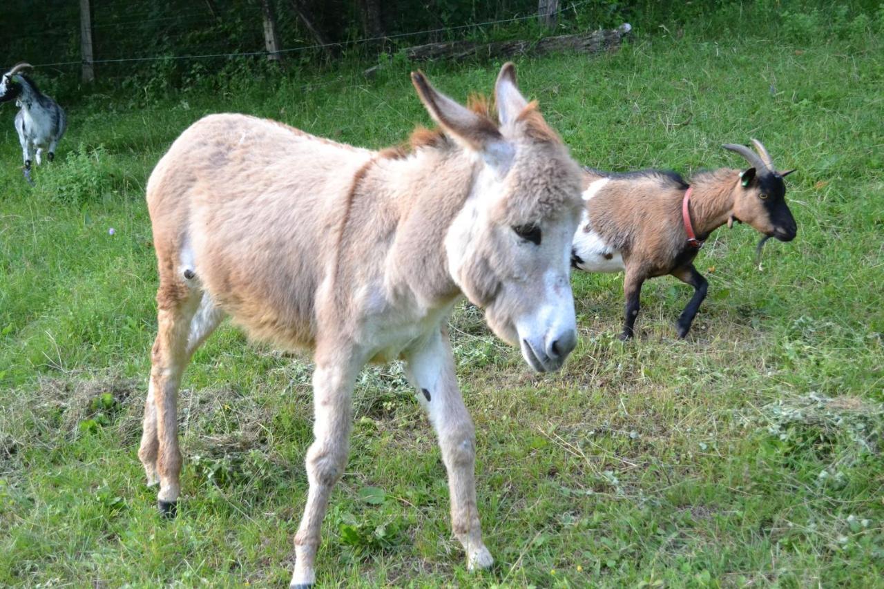 Le Paradis Des Animaux Coublevie Exteriör bild